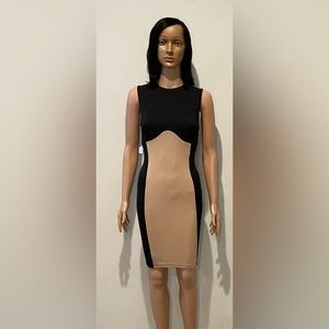 Black & Tan Bodycon Dress